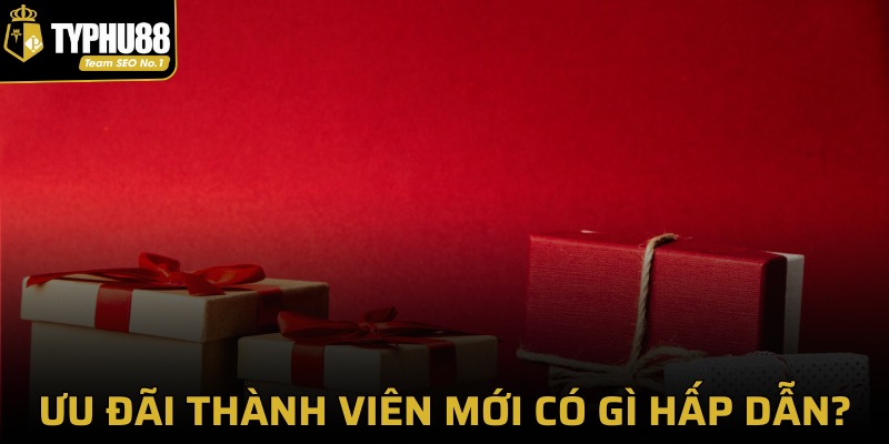 Giới thiệu về ưu đãi dành cho tân binh tại Typhu88