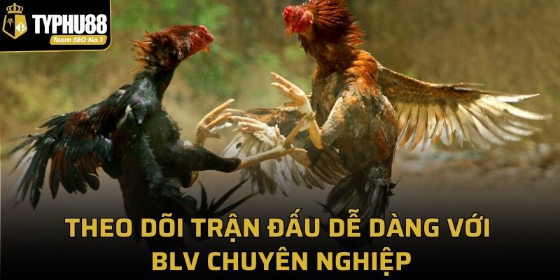 Theo dõi trận đấu dễ dàng với BLV chuyên nghiệp